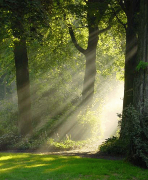 Comment bien méditer au soleil : les plus belles heures